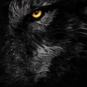 Le loup, symbole de MDI